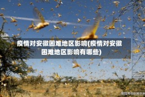 疫情对安徽困难地区影响(疫情对安徽困难地区影响有哪些)