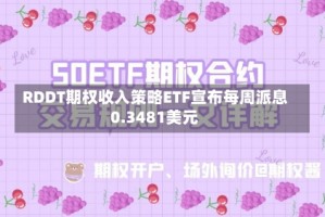RDDT期权收入策略ETF宣布每周派息0.3481美元