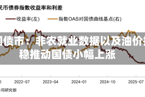 美国债市：非农就业数据以及油价持稳推动国债小幅上涨