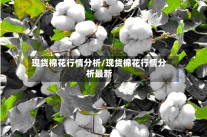 现货棉花行情分析/现货棉花行情分析最新