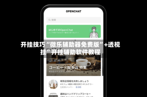 开挂技巧“微乐辅助器免费版”+透视挂”开挂辅助软件教程