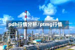 pdh行情分析/ptmg行情