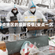 安贞地区的最新疫情(安贞一区)