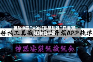 辅助神器“大冶打拱辅助器”开挂(透视)辅助神器