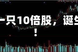 又一只10倍股，诞生！