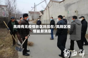 凤翔有无疫情地区吗现在/凤翔区疫情最新消息
