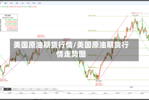 美国原油期货行情/美国原油期货行情走势图