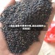 【湖北油菜子费用行情,湖北油菜籽上市时间】