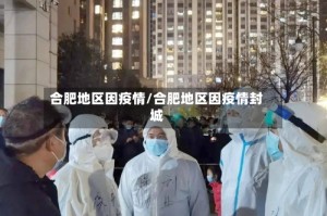 合肥地区因疫情/合肥地区因疫情封城