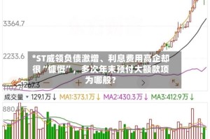 *ST威领负债激增、利息费用高企却很“慷慨”，多次年末预付大额款项为哪般？