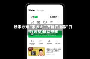 玩家必知“家乡大二万能开挂器”开挂(透视)辅助神器