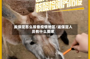 反保定怎么报备疫情地区/返保定人员有什么要求