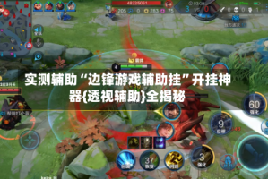 实测辅助“边锋游戏辅助挂”开挂神器{透视辅助}全揭秘