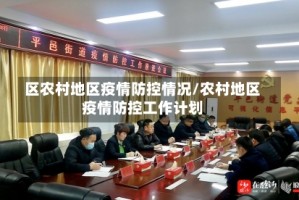 区农村地区疫情防控情况/农村地区疫情防控工作计划