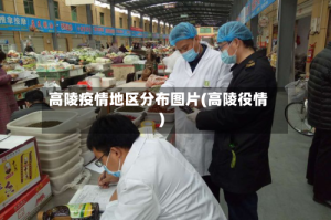 高陵疫情地区分布图片(高陵役情)