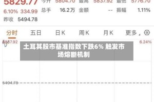 土耳其股市基准指数下跌6% 触发市场熔断机制