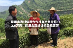 昆明市农村信用合作社联合社被罚162.6万元：违反金融统计相关规定等