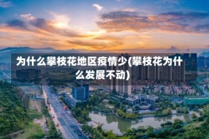 为什么攀枝花地区疫情少(攀枝花为什么发展不动)