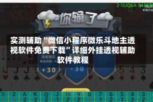 实测辅助“微信小程序微乐斗地主透视软件免费下载”详细外挂透视辅助软件教程