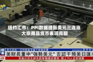 纽约汇市：PPI数据提振美元三连涨 大宗商品货币表现亮眼