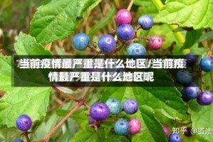 当前疫情最严重是什么地区/当前疫情最严重是什么地区呢