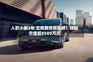 入职小鹏3年 王凤英终获股权！持股市值超8500万元