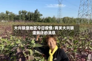 大兴狼垡地区今日疫情/有关大兴狼垡拆迁的消息