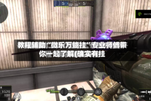 教程辅助“微乐万能挂”专业师傅带你一起了解(确实有挂