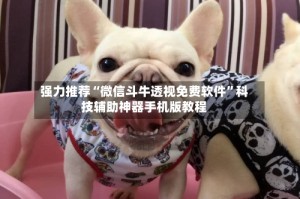 强力推荐“微信斗牛透视免费软件”科技辅助神器手机版教程
