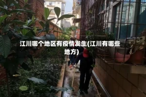 江川哪个地区有疫情发生(江川有哪些地方)
