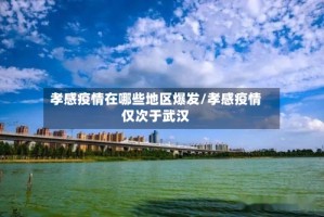 孝感疫情在哪些地区爆发/孝感疫情仅次于武汉