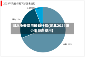 湖北小麦费用最新行情(湖北2021年小麦最新费用)