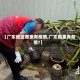 【广东地区哪里有疫情,广东那里有疫情?】