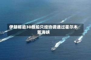 伊朗称逾30艘船只经协调通过霍尔木兹海峡