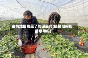 疫情地区摘星了能回去吗(疫情期间能摘草莓吗)