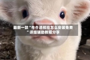最新一款“牛牛透视挂怎么安装免费”详细辅助教程分享
