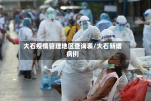 大石疫情管理地区查询表/大石新增病例