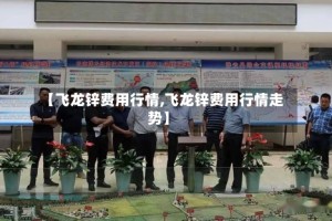 【飞龙锌费用行情,飞龙锌费用行情走势】