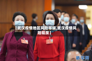 【武汉疫情地区风险等级,武汉疫情风险程度】