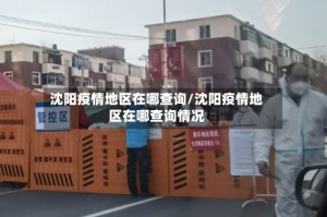 沈阳疫情地区在哪查询/沈阳疫情地区在哪查询情况