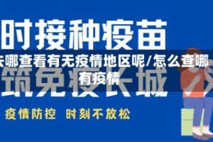 去哪查看有无疫情地区呢/怎么查哪有疫情