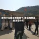 唐州什么地区有疫情了/唐县疫情最新消息今天