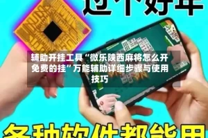 辅助开挂工具“微乐陕西麻将怎么开免费的挂”万能辅助详细步骤与使用技巧