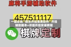 一键必胜“微乐开挂免费软件”开挂辅助脚本+详细开挂安装教程