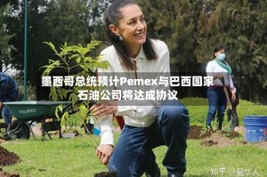 墨西哥总统预计Pemex与巴西国家石油公司将达成协议