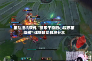 辅助挂机软件“微乐干瞪眼小程序辅助器”详细辅助教程分享