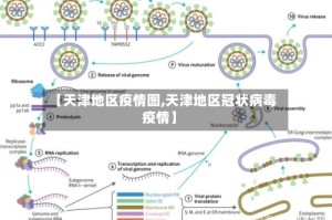 【天津地区疫情图,天津地区冠状病毒疫情】