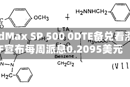 YieldMax SP 500 0DTE备兑看涨ETF宣布每周派息0.2095美元