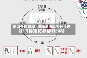 辅助开挂教程“微乐湖南麻将开挂神器”开挂(透视)最新辅助详细