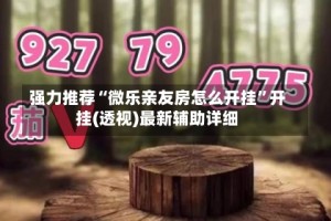 强力推荐“微乐亲友房怎么开挂”开挂(透视)最新辅助详细